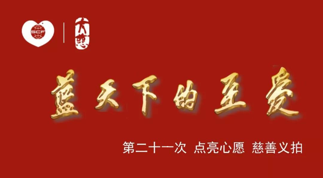 蓝天下的至爱-第二十一次“点亮心愿”慈善义拍会拍卖公告